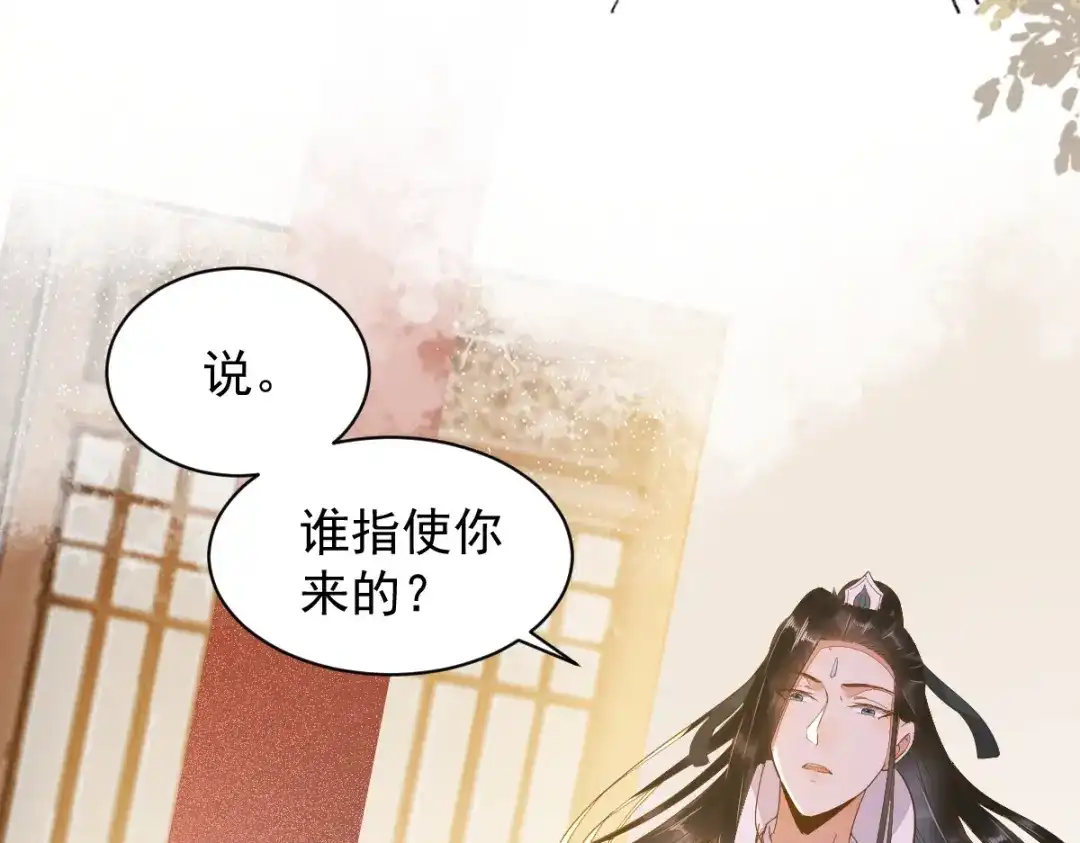 《杀手王妃不好惹》33-护驾 第39页