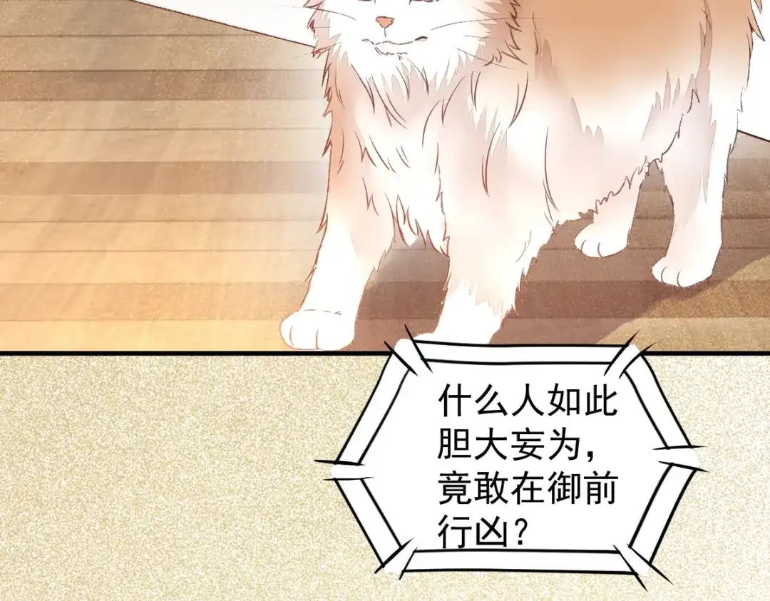 《杀手王妃不好惹》33-护驾 第54页