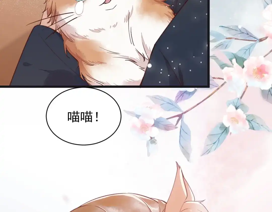 《杀手王妃不好惹》33-护驾 第71页
