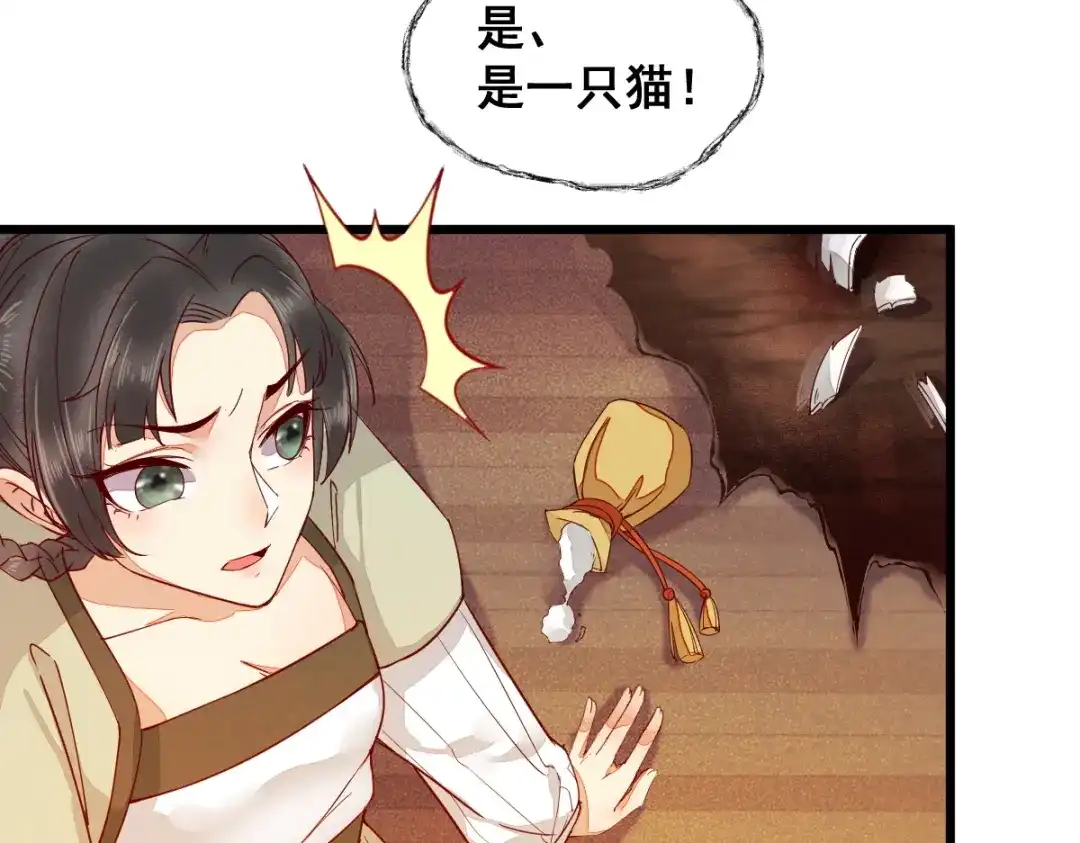 《杀手王妃不好惹》33-护驾 第19页