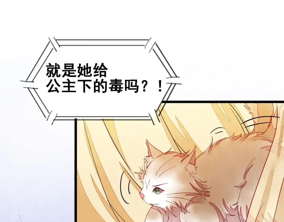 《杀手王妃不好惹》33-护驾 第8页