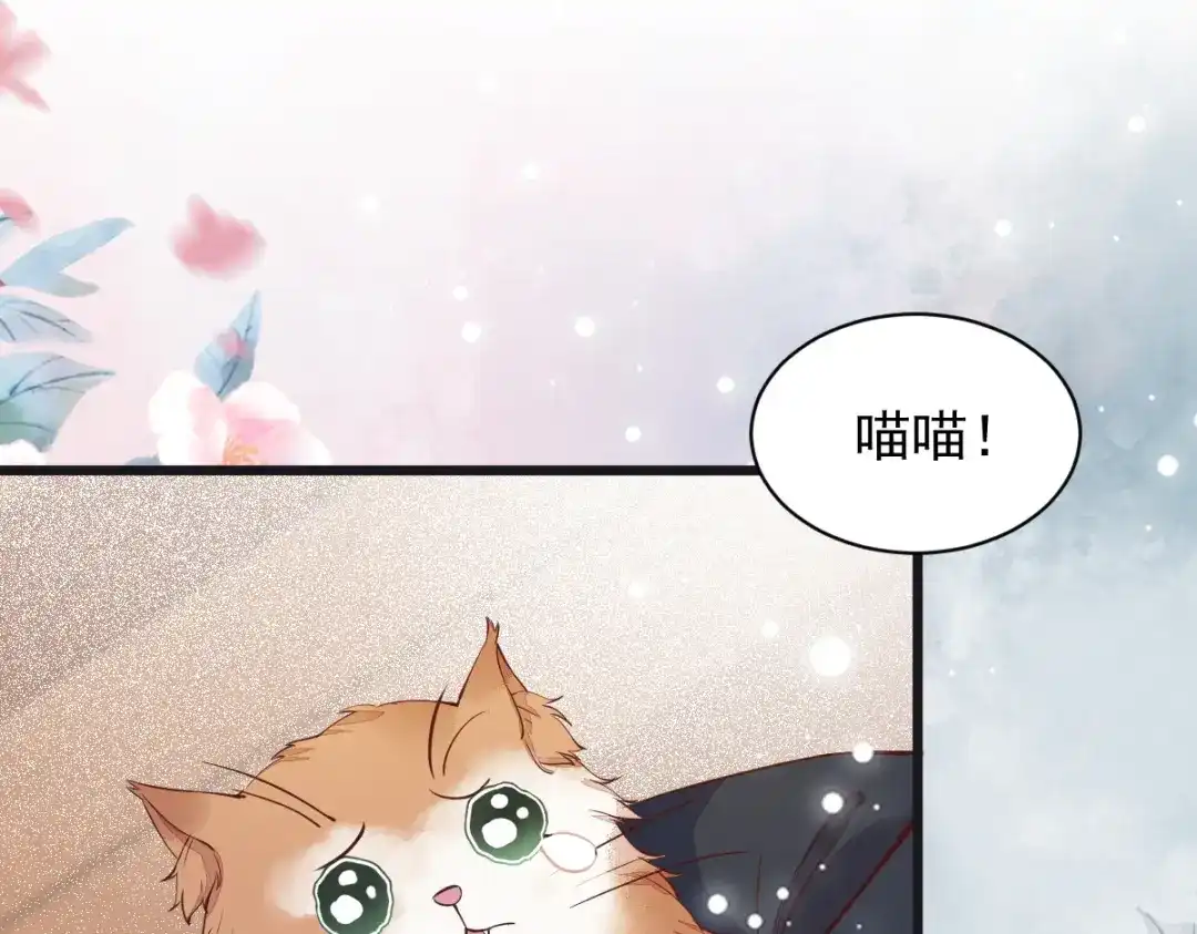 《杀手王妃不好惹》33-护驾 第70页