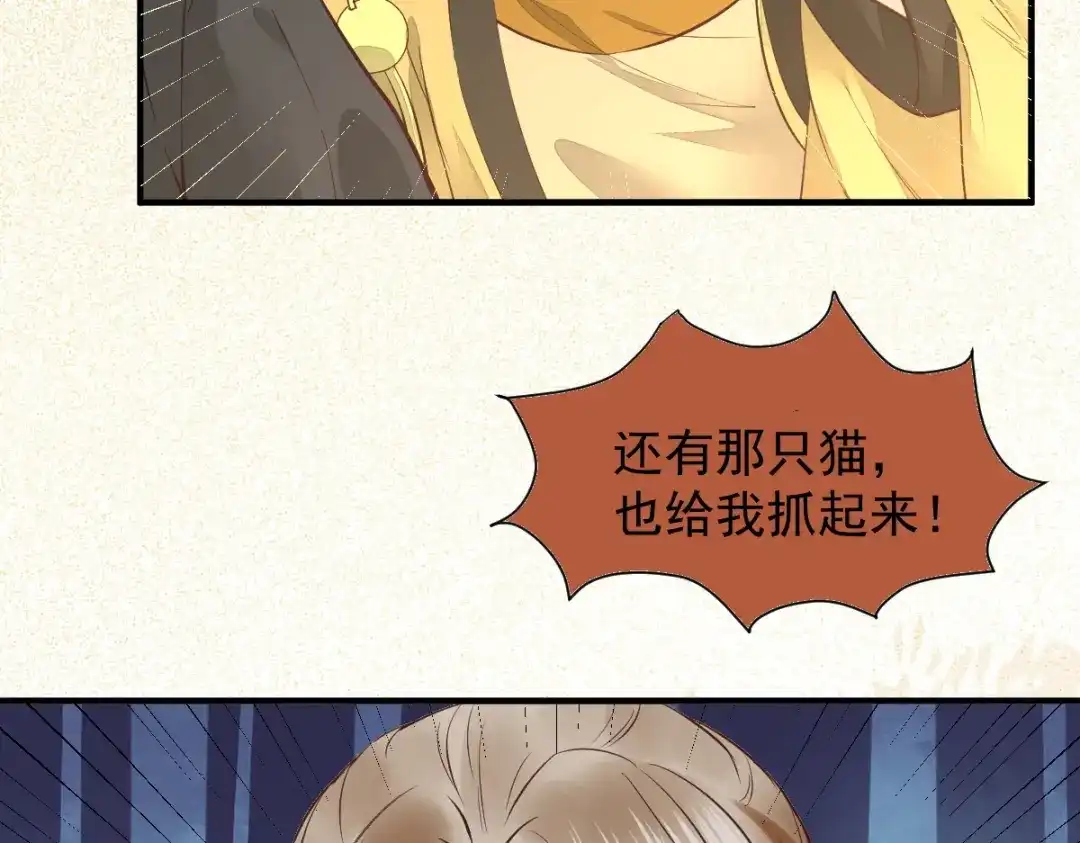《杀手王妃不好惹》33-护驾 第56页