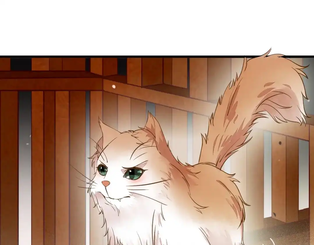 《杀手王妃不好惹》34-对弈 第83页