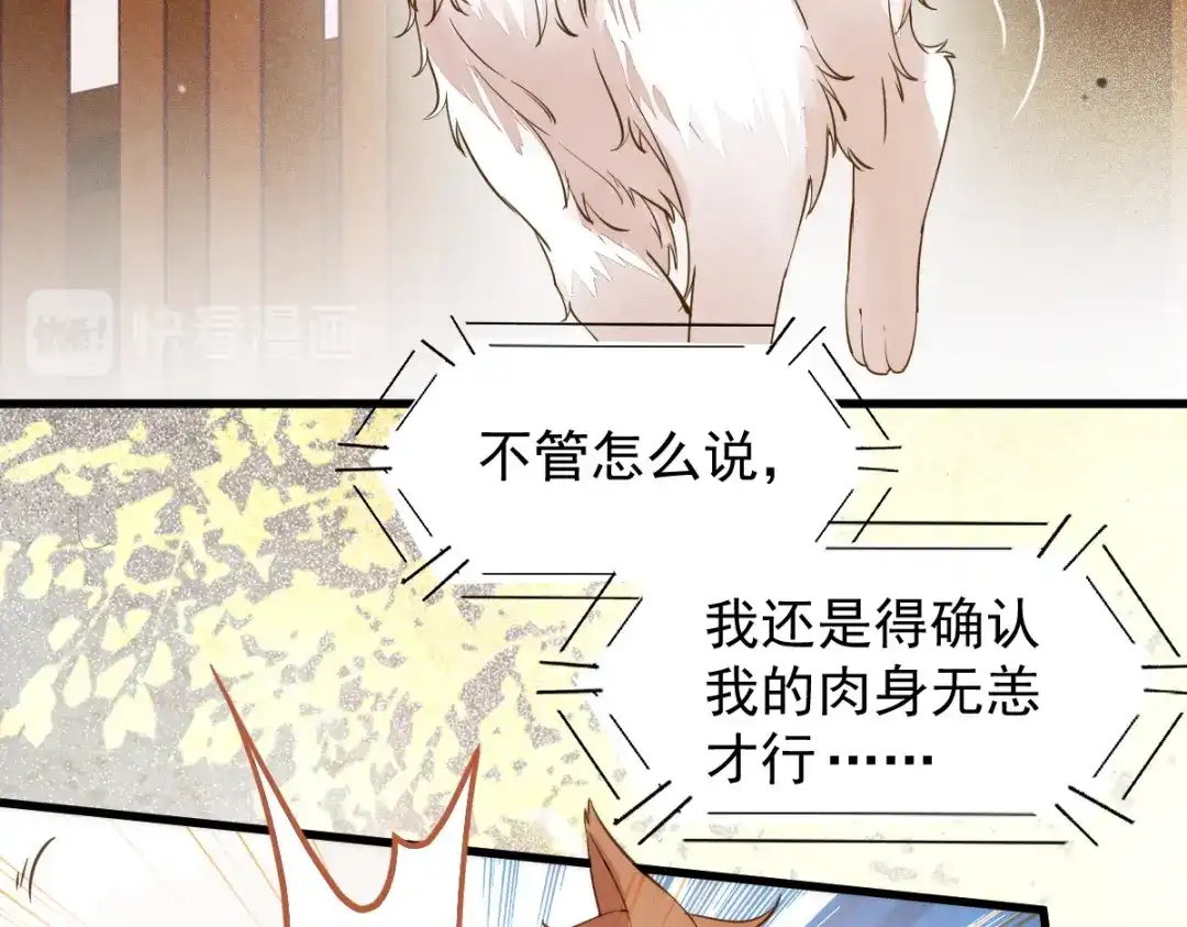 《杀手王妃不好惹》34-对弈 第84页