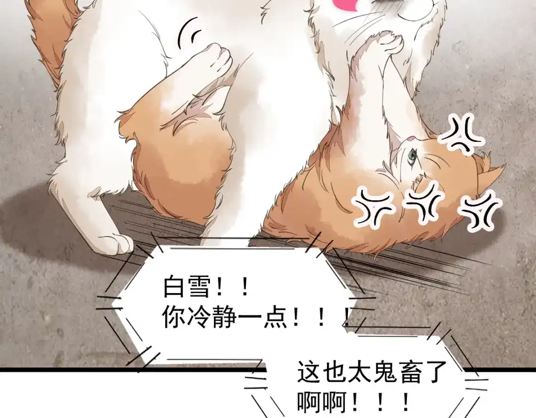 《杀手王妃不好惹》35-寻找肉身 第8页