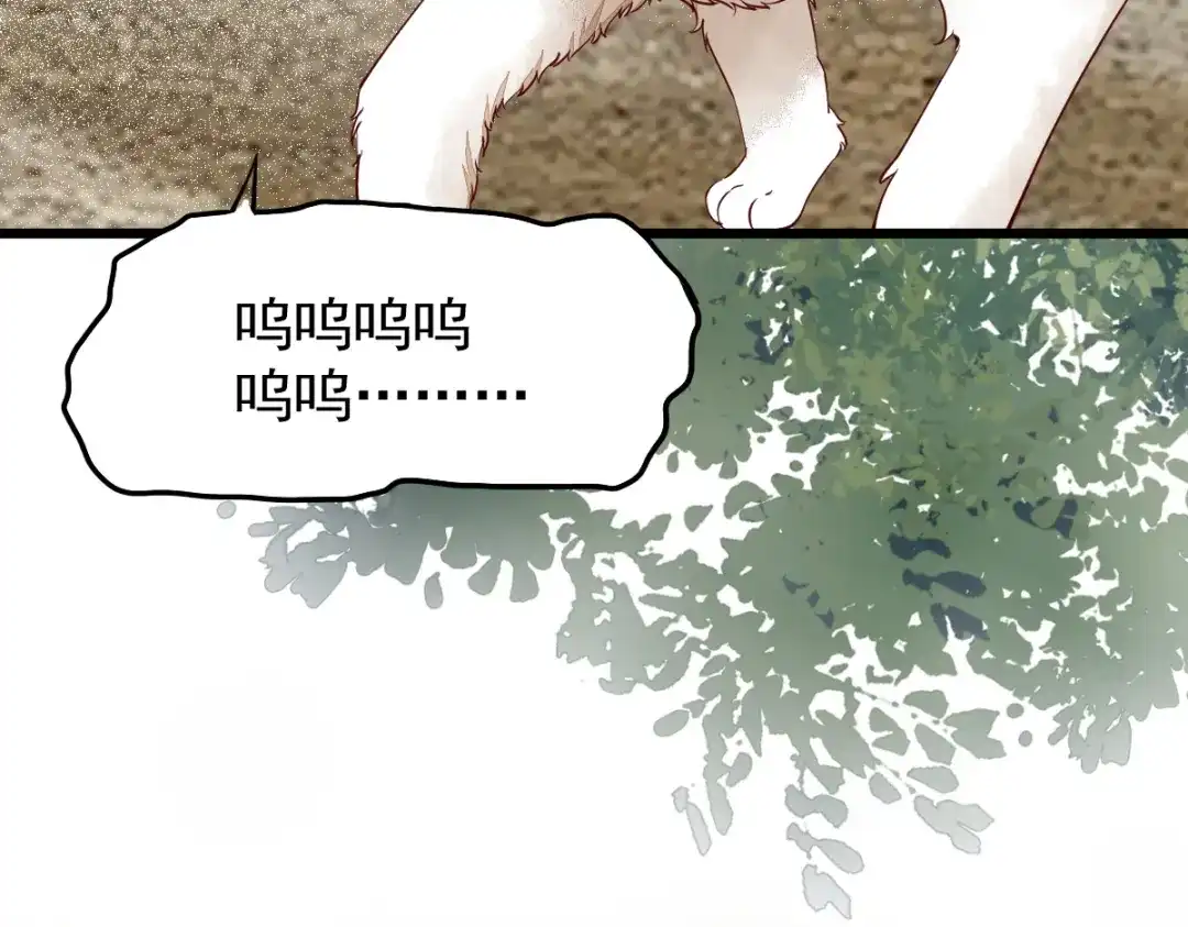 《杀手王妃不好惹》35-寻找肉身 第15页