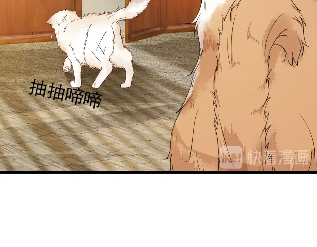 《杀手王妃不好惹》35-寻找肉身 第17页