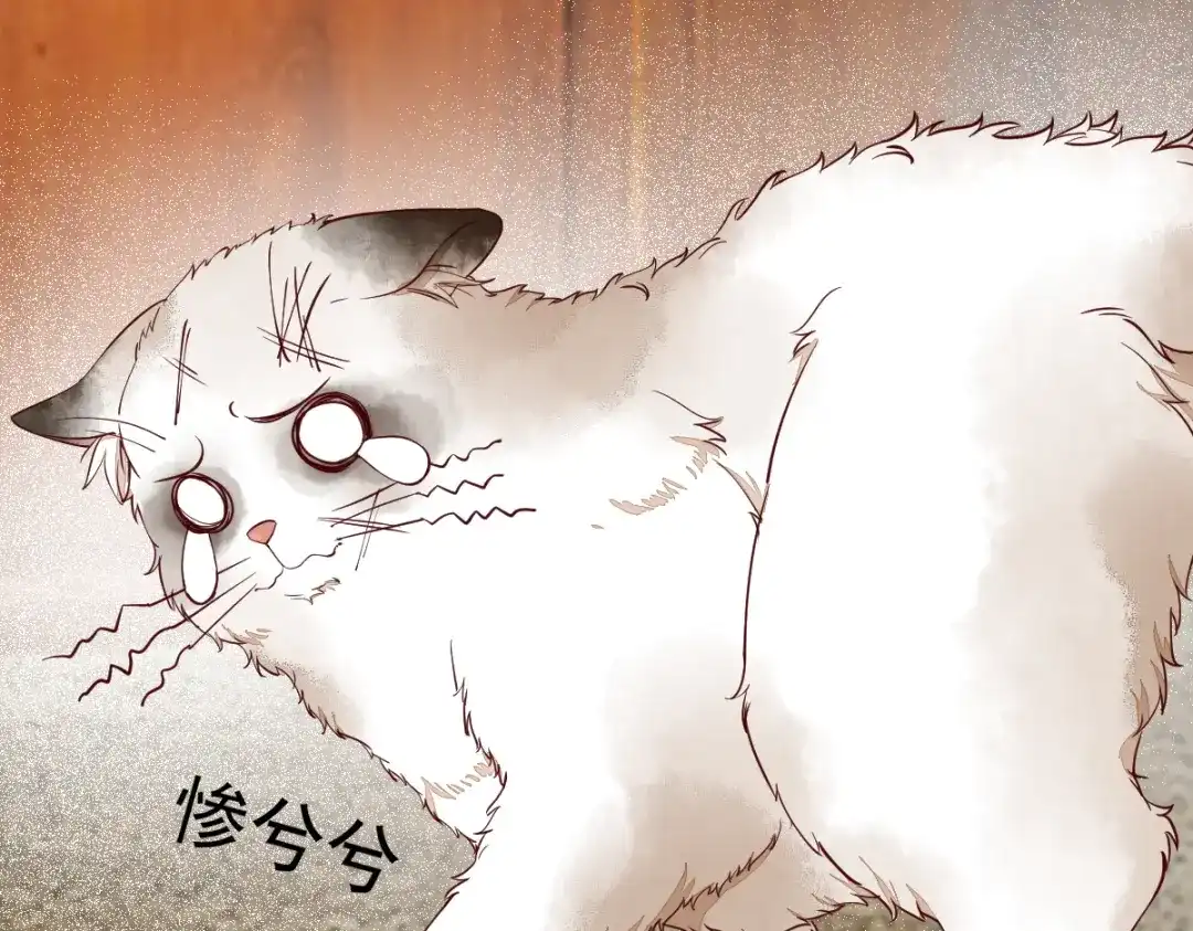 《杀手王妃不好惹》35-寻找肉身 第14页