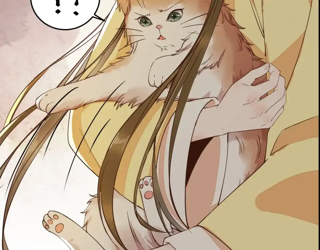 《杀手王妃不好惹》35-寻找肉身 第25页