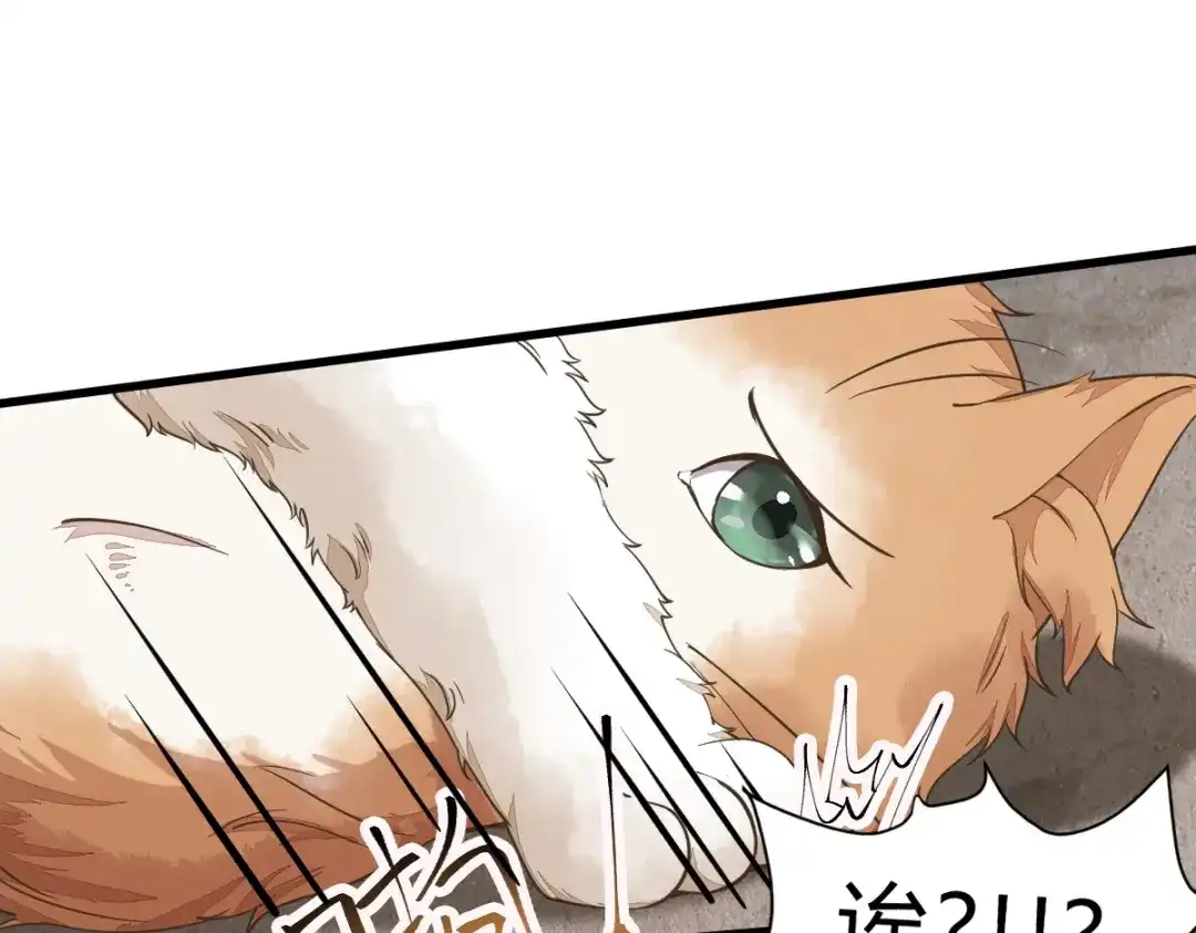 《杀手王妃不好惹》35-寻找肉身 第6页