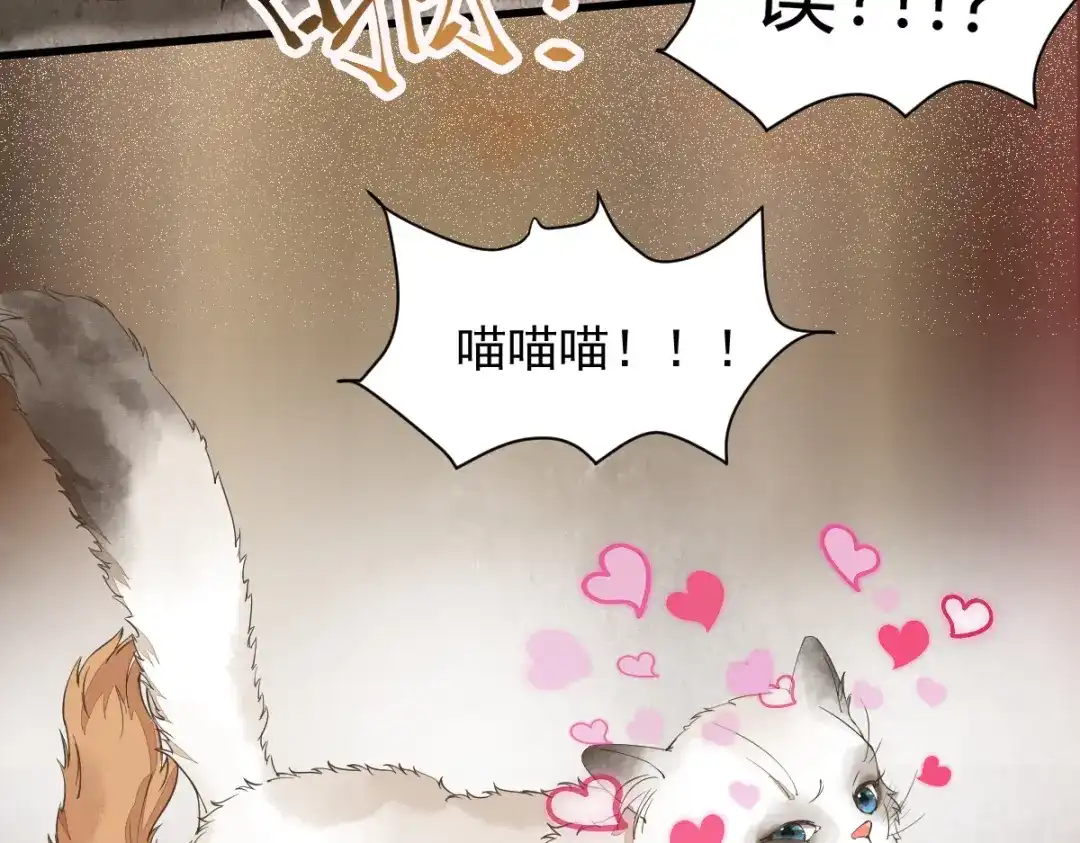 《杀手王妃不好惹》35-寻找肉身 第7页