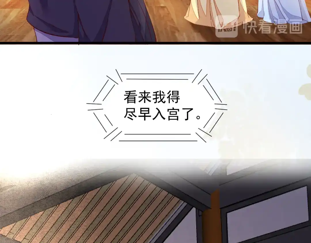 《杀手王妃不好惹》36-另有隐情 第65页