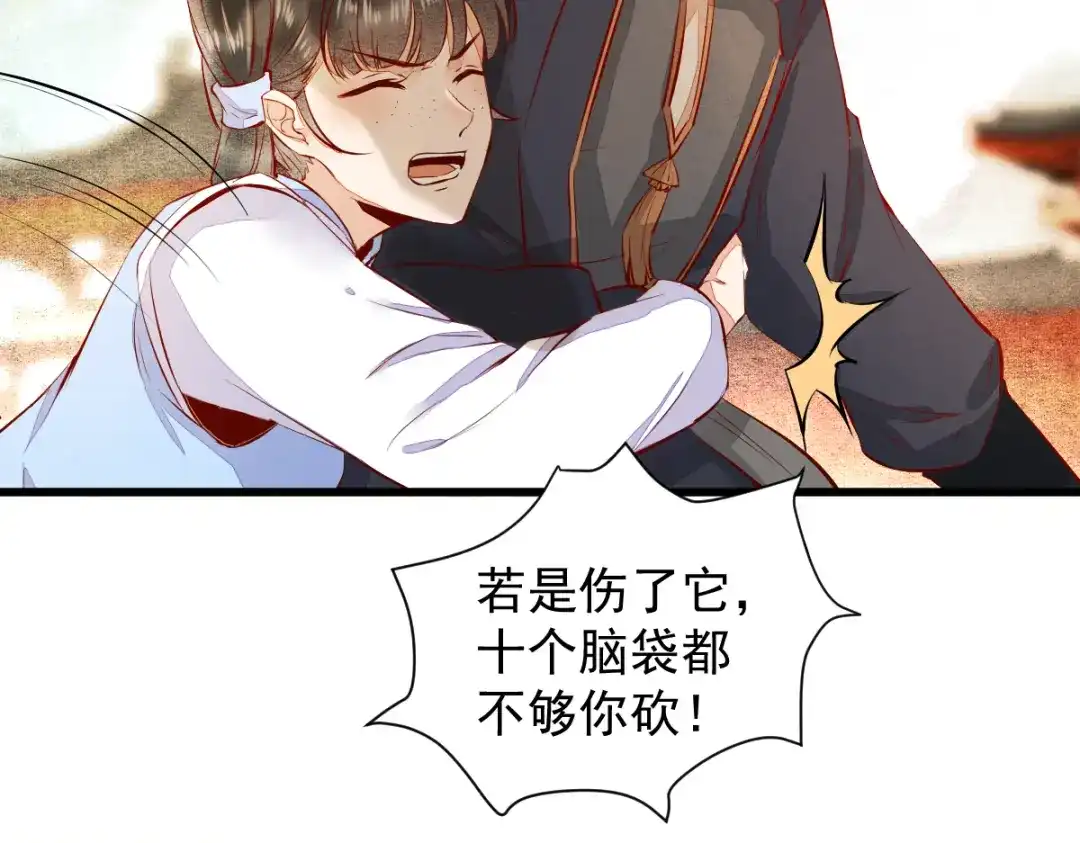 《杀手王妃不好惹》36-另有隐情 第32页