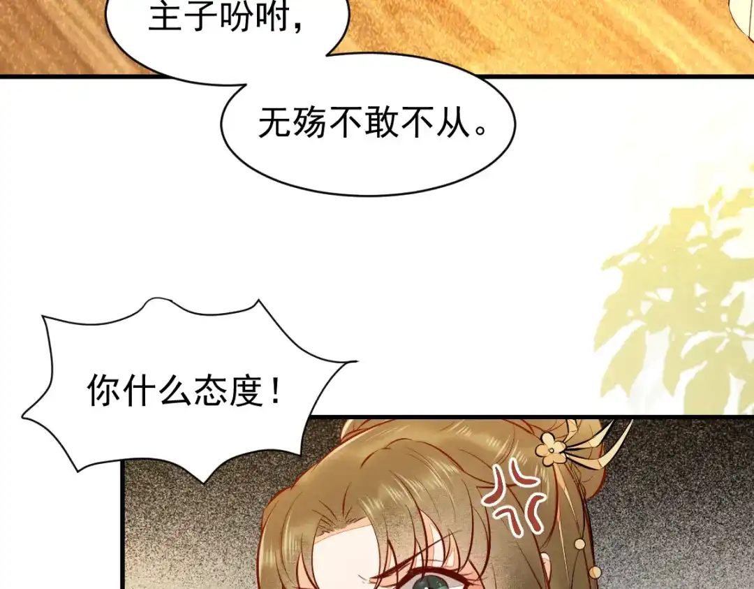 《杀手王妃不好惹》36-另有隐情 第43页