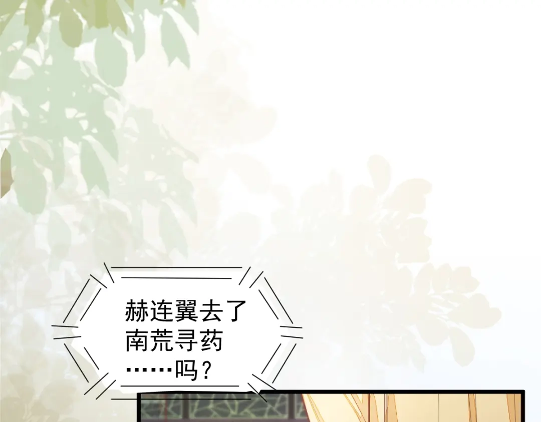 《杀手王妃不好惹》36-另有隐情 第69页
