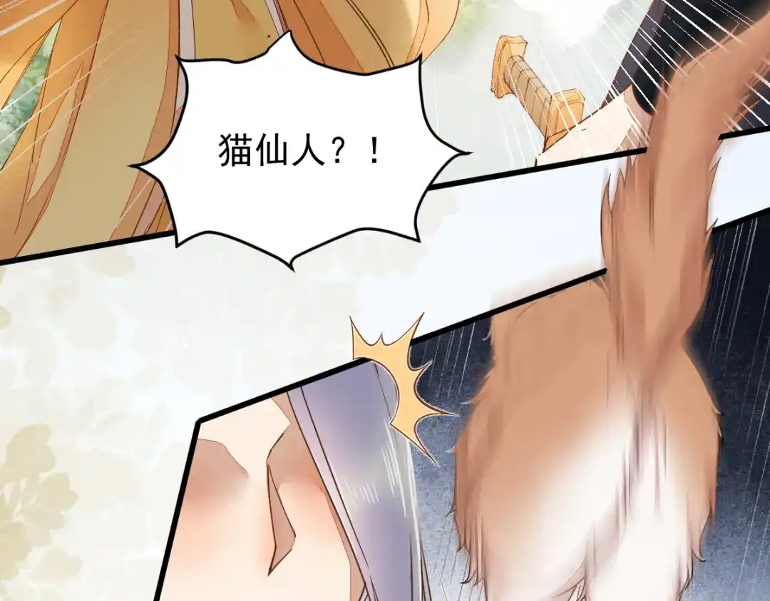 《杀手王妃不好惹》36-另有隐情 第25页