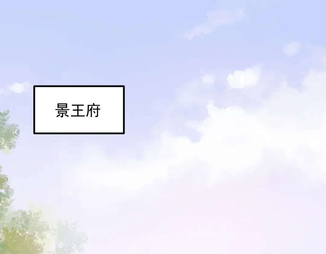 《杀手王妃不好惹》36-另有隐情 第6页