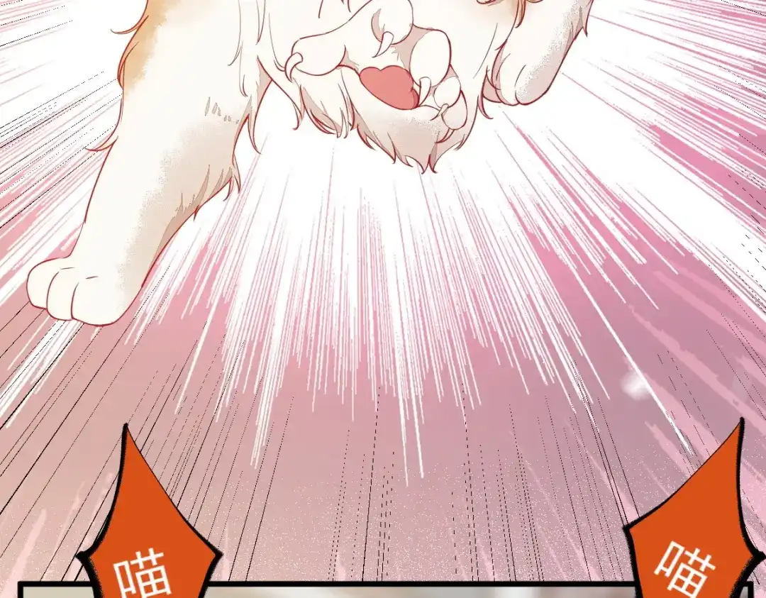 《杀手王妃不好惹》37-一只逃跑喵 第25页