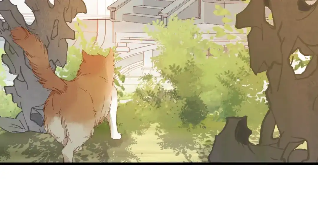 《杀手王妃不好惹》37-一只逃跑喵 第13页