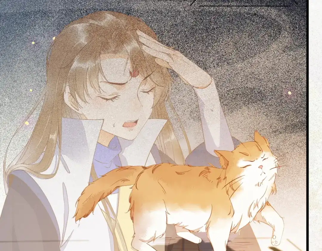 《杀手王妃不好惹》37-一只逃跑喵 第10页