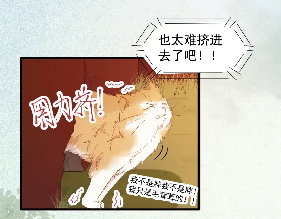 《杀手王妃不好惹》37-一只逃跑喵 第7页
