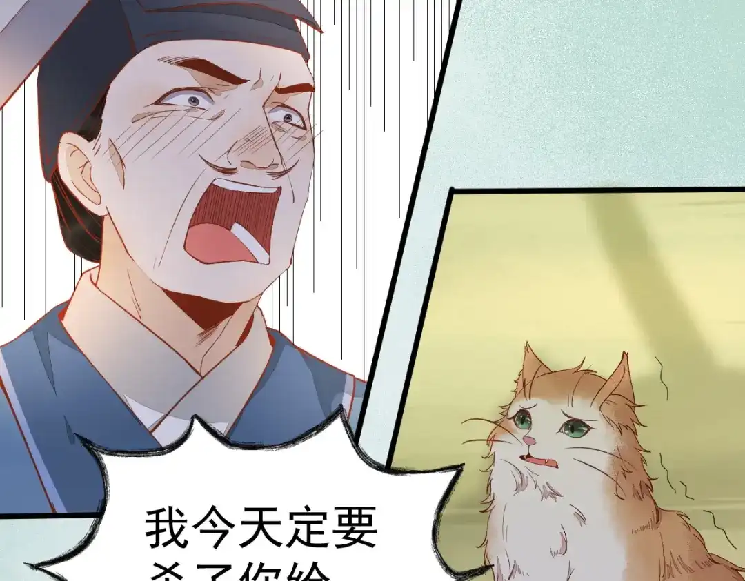 《杀手王妃不好惹》37-一只逃跑喵 第39页