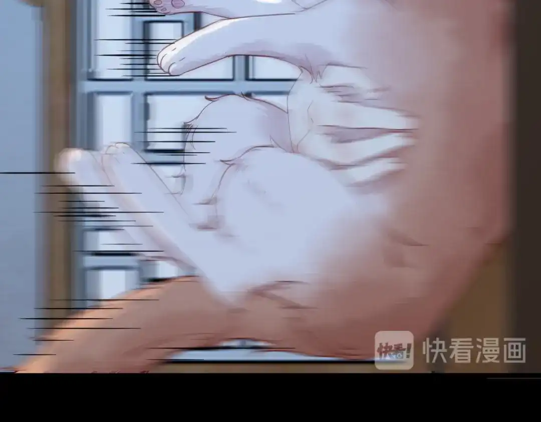 《杀手王妃不好惹》37-一只逃跑喵 第64页