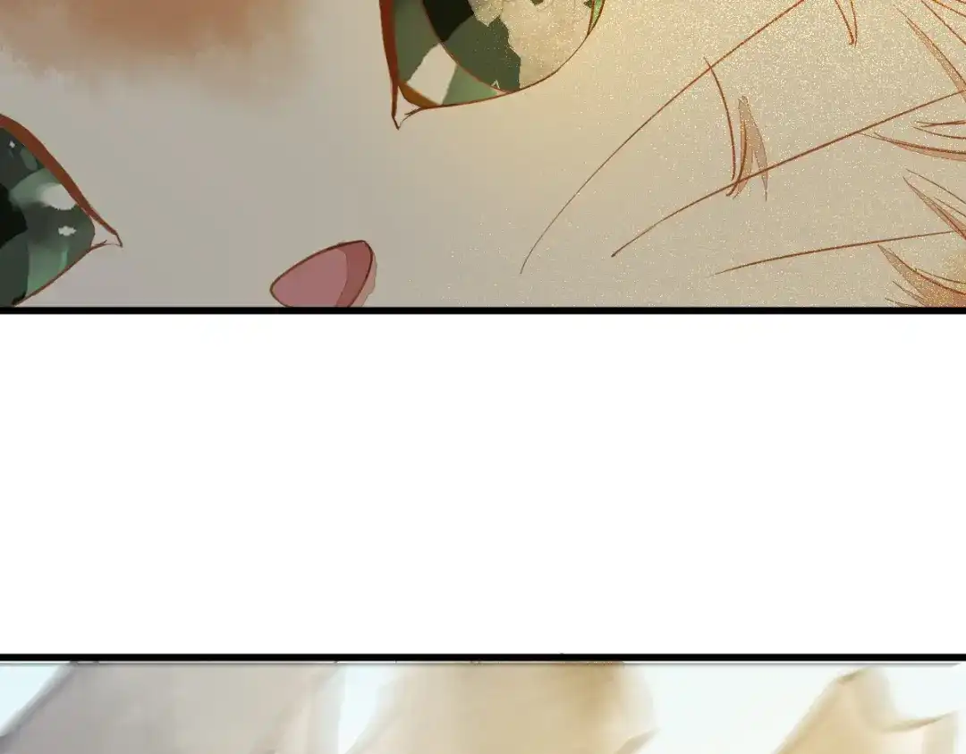 《杀手王妃不好惹》37-一只逃跑喵 第16页