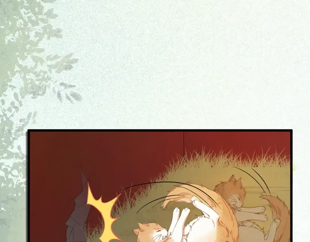 《杀手王妃不好惹》37-一只逃跑喵 第8页