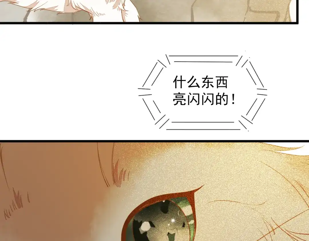 《杀手王妃不好惹》37-一只逃跑喵 第15页