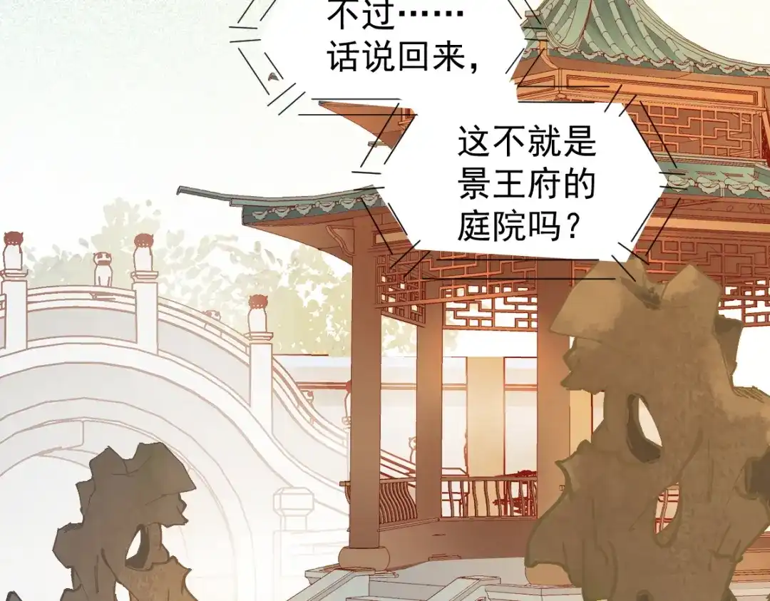《杀手王妃不好惹》37-一只逃跑喵 第12页
