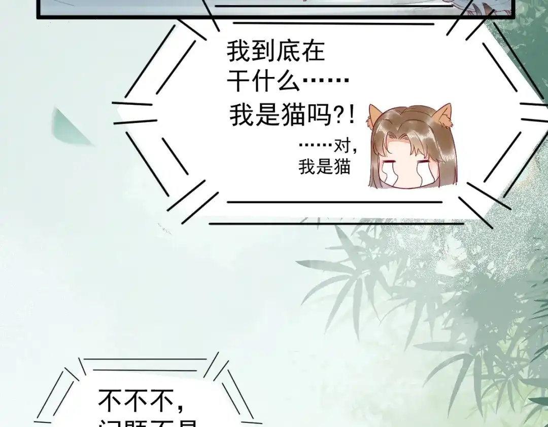 《杀手王妃不好惹》37-一只逃跑喵 第30页
