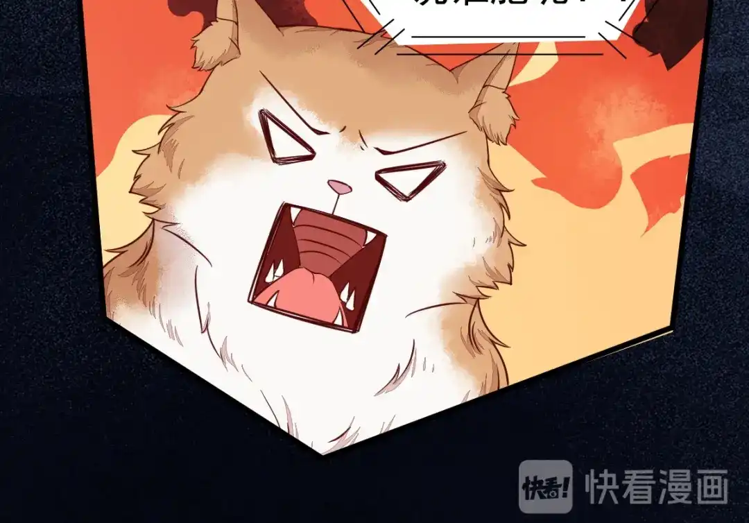 《杀手王妃不好惹》37-一只逃跑喵 第79页