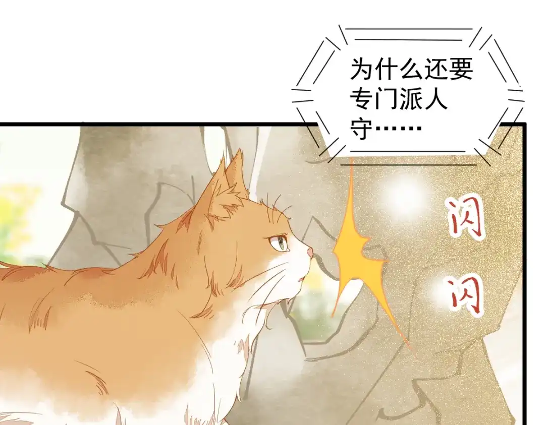 《杀手王妃不好惹》37-一只逃跑喵 第14页