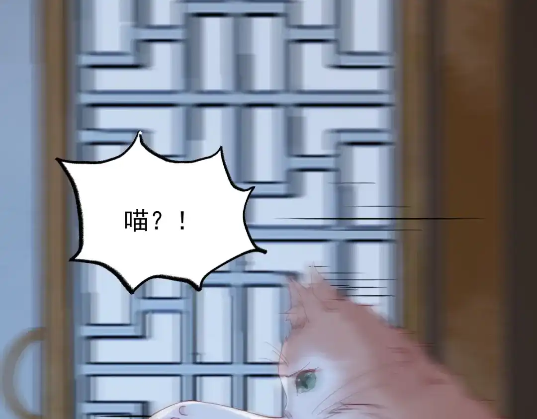 《杀手王妃不好惹》37-一只逃跑喵 第63页