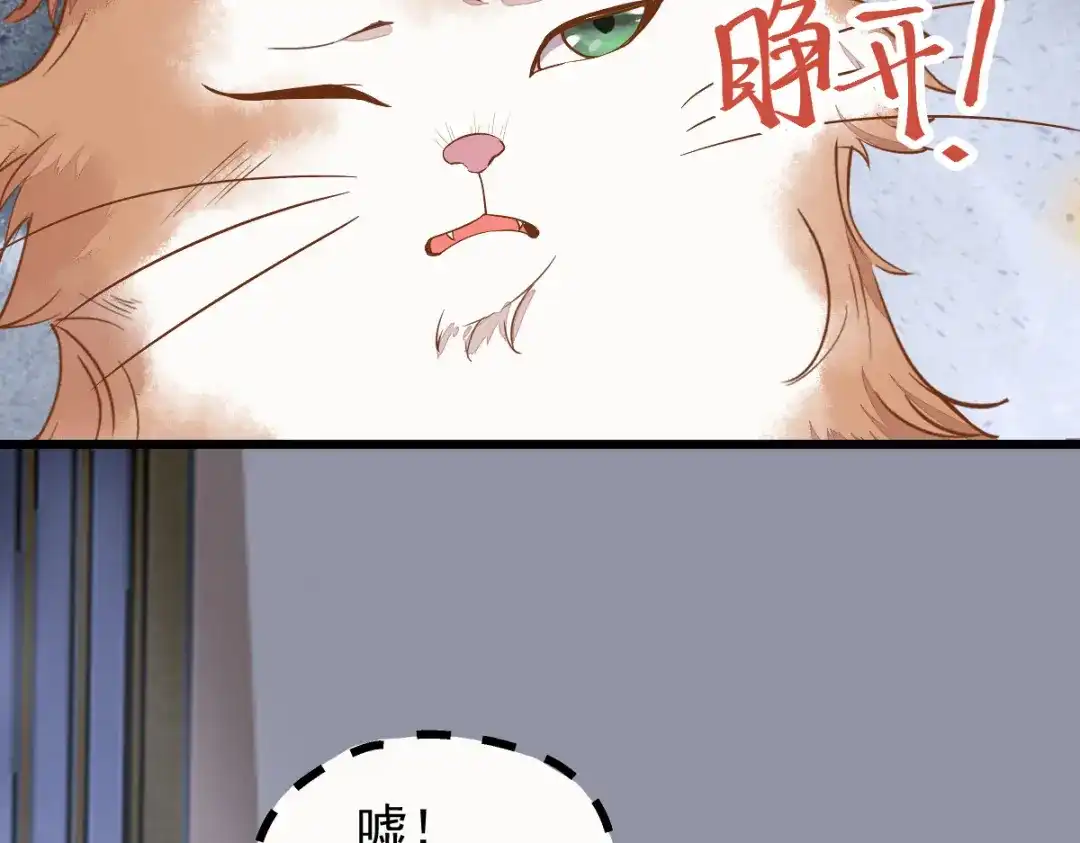 《杀手王妃不好惹》37-一只逃跑喵 第69页