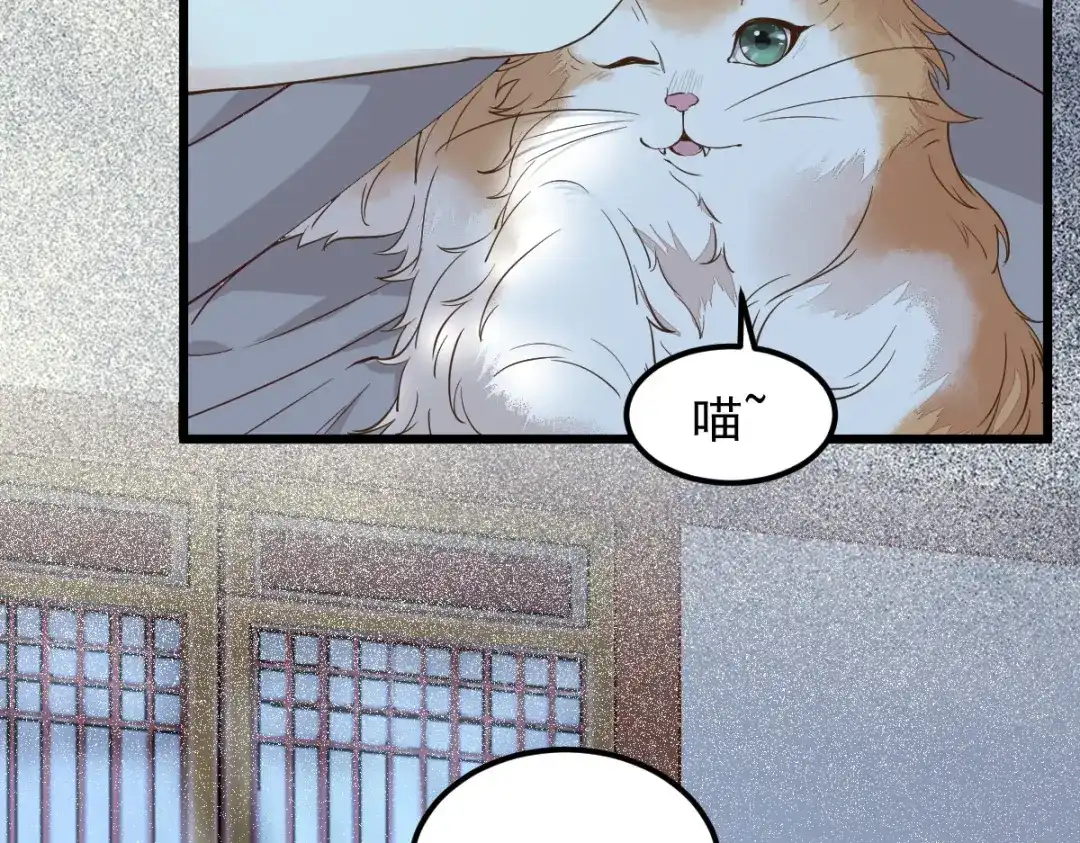 《杀手王妃不好惹》38-重逢 第22页