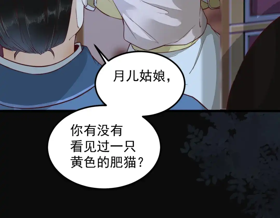 《杀手王妃不好惹》38-重逢 第9页