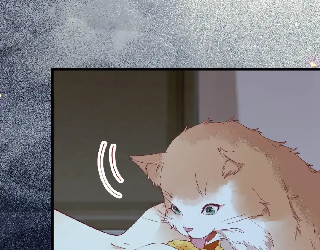 《杀手王妃不好惹》38-重逢 第57页