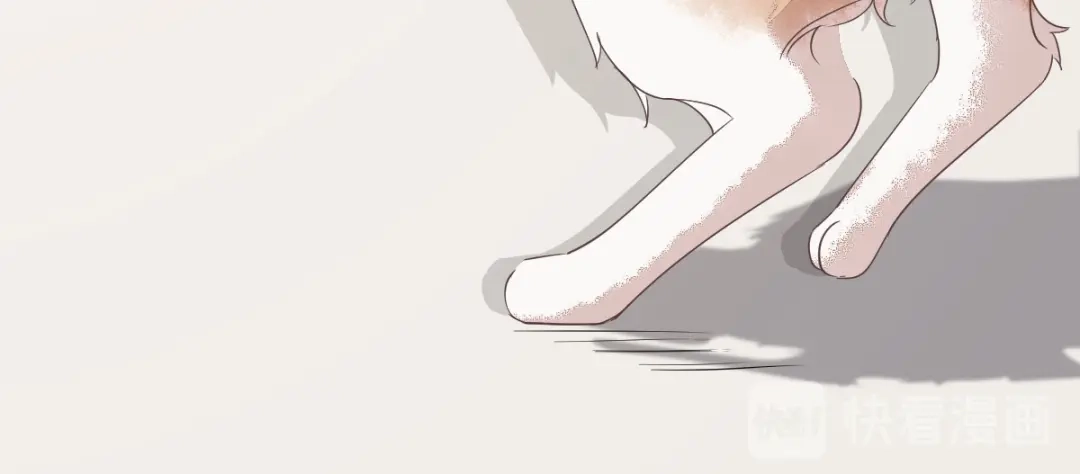 《杀手王妃不好惹》38-重逢 第71页
