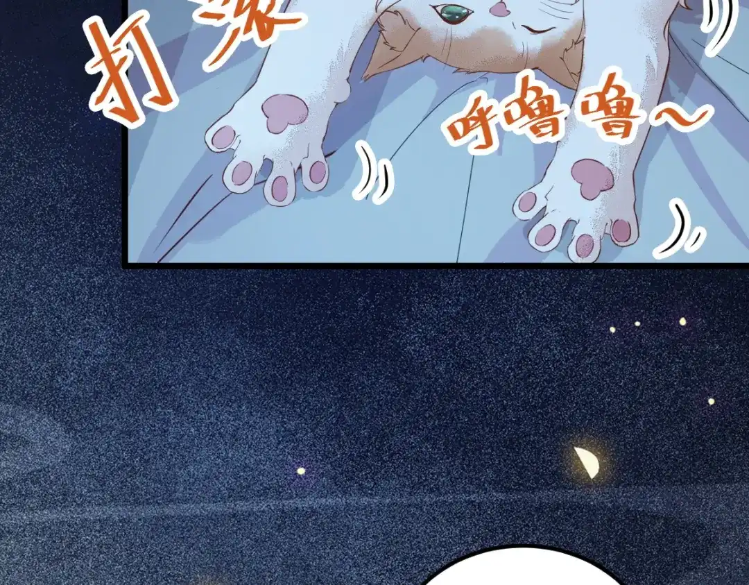 《杀手王妃不好惹》38-重逢 第37页