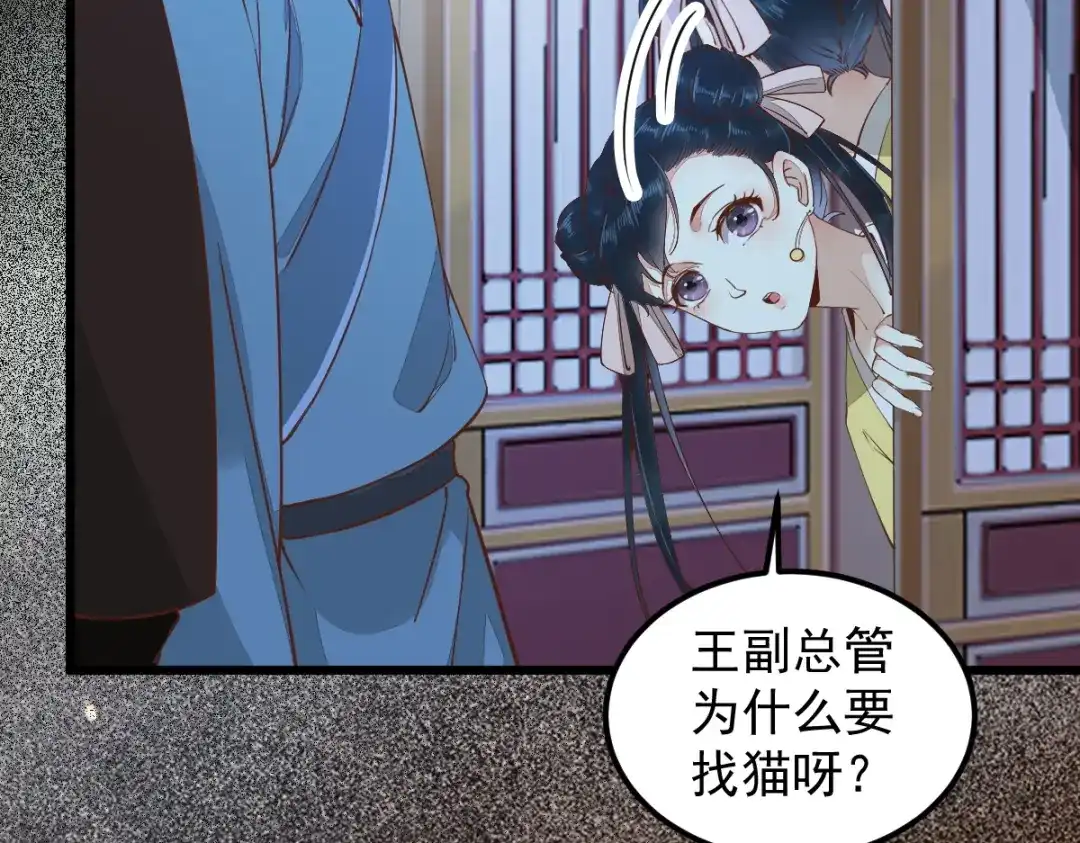 《杀手王妃不好惹》38-重逢 第11页