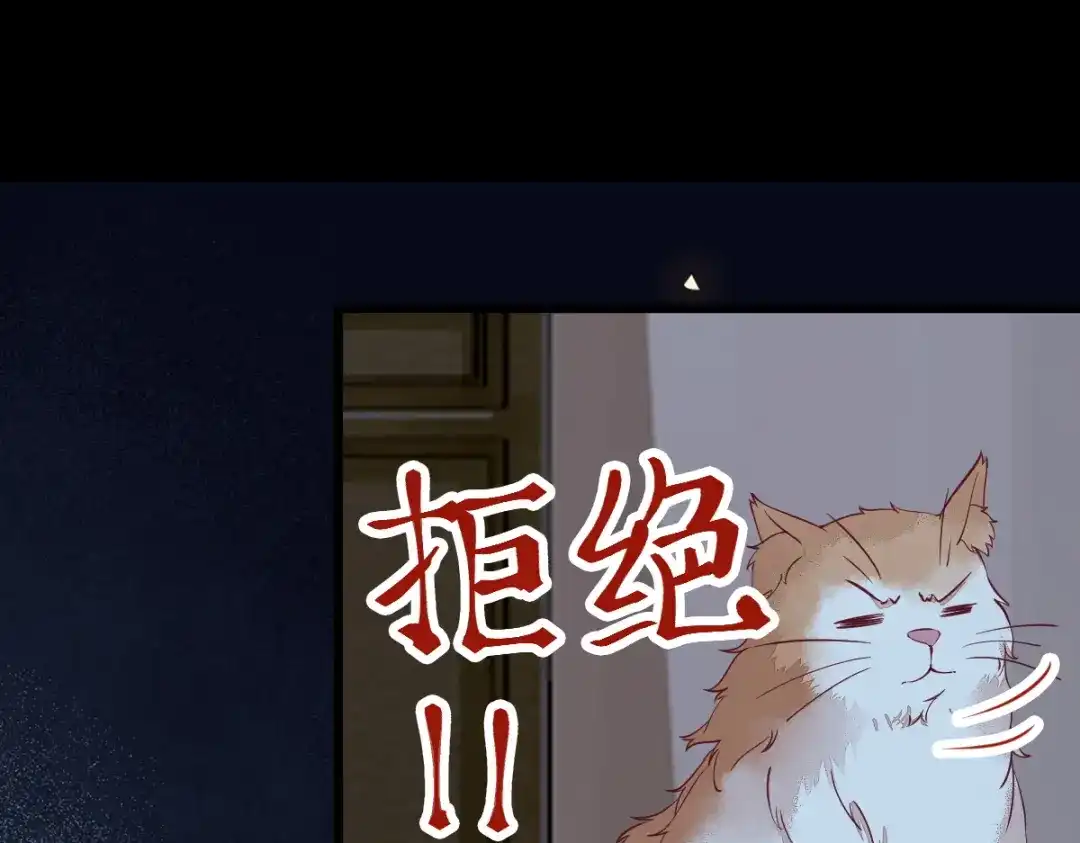 《杀手王妃不好惹》38-重逢 第53页