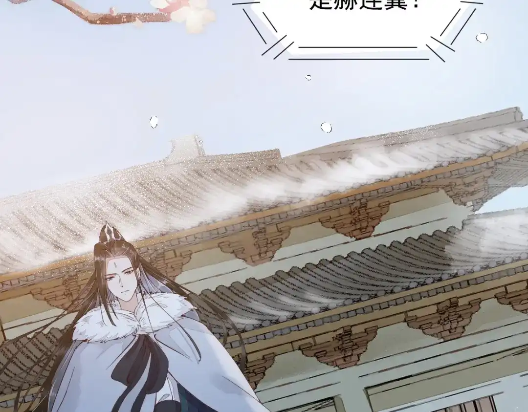 《杀手王妃不好惹》38-重逢 第91页