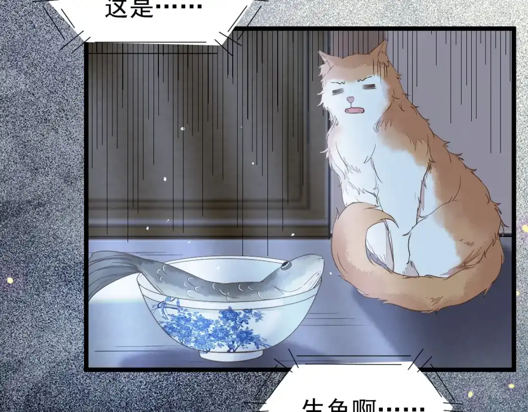 《杀手王妃不好惹》38-重逢 第49页