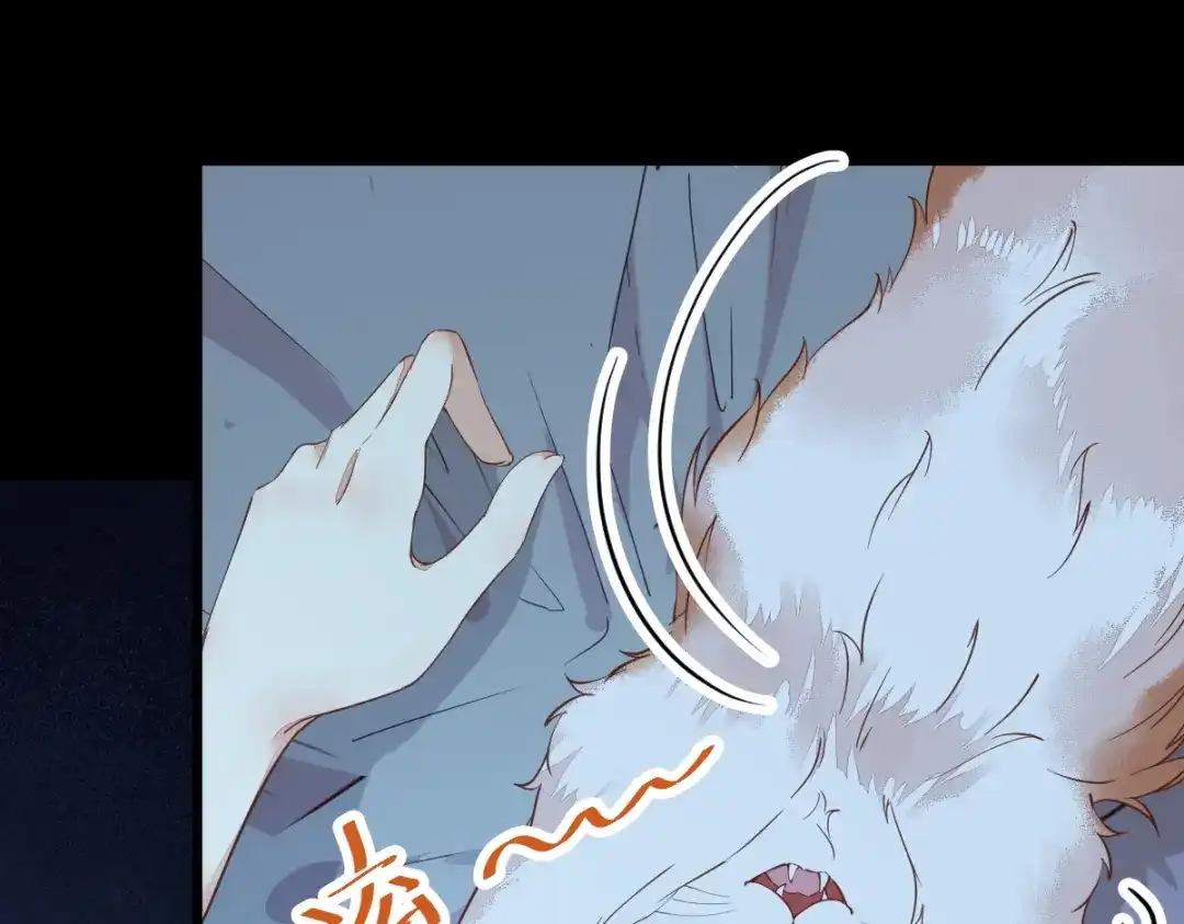 《杀手王妃不好惹》38-重逢 第36页