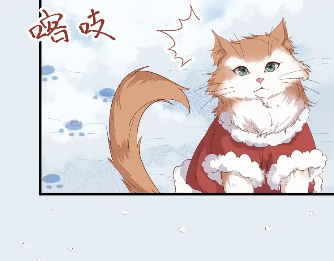 《杀手王妃不好惹》38-重逢 第87页