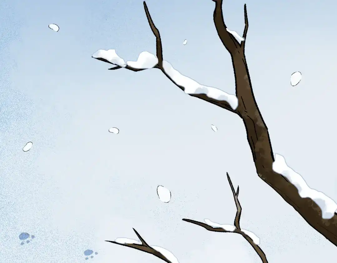 《杀手王妃不好惹》38-重逢 第84页