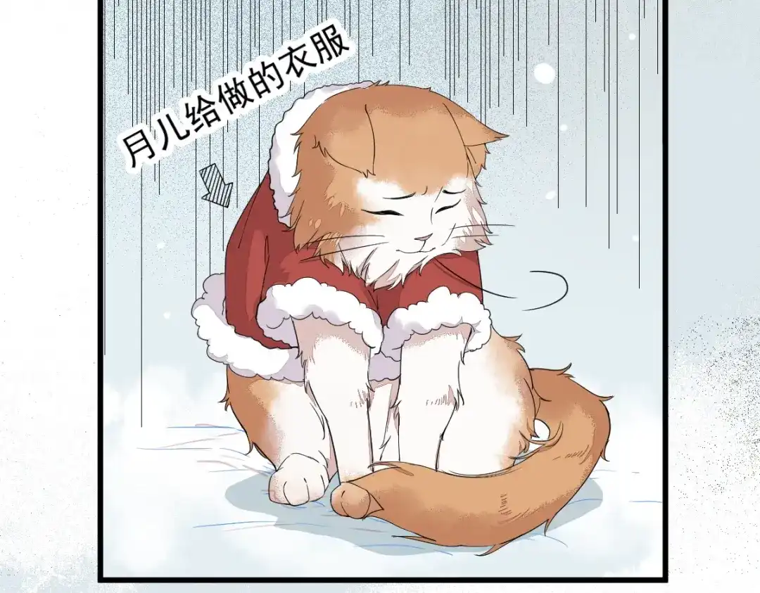 《杀手王妃不好惹》38-重逢 第81页